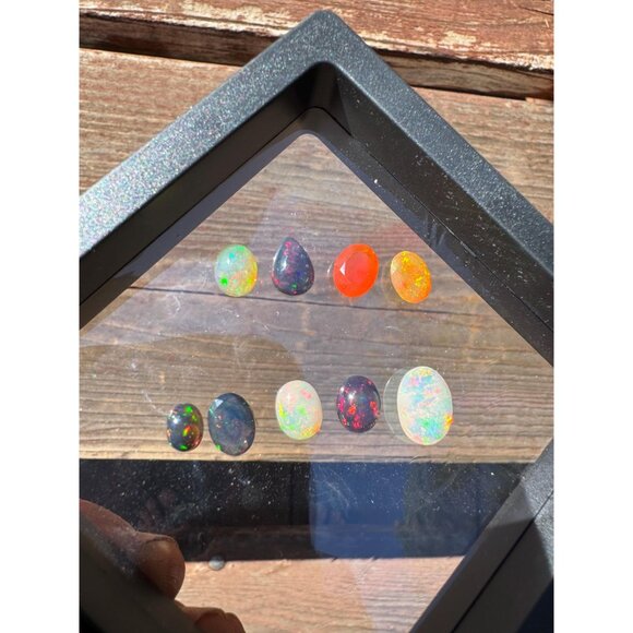 11 carats of Opals in Display Case - Picture 6 of 7